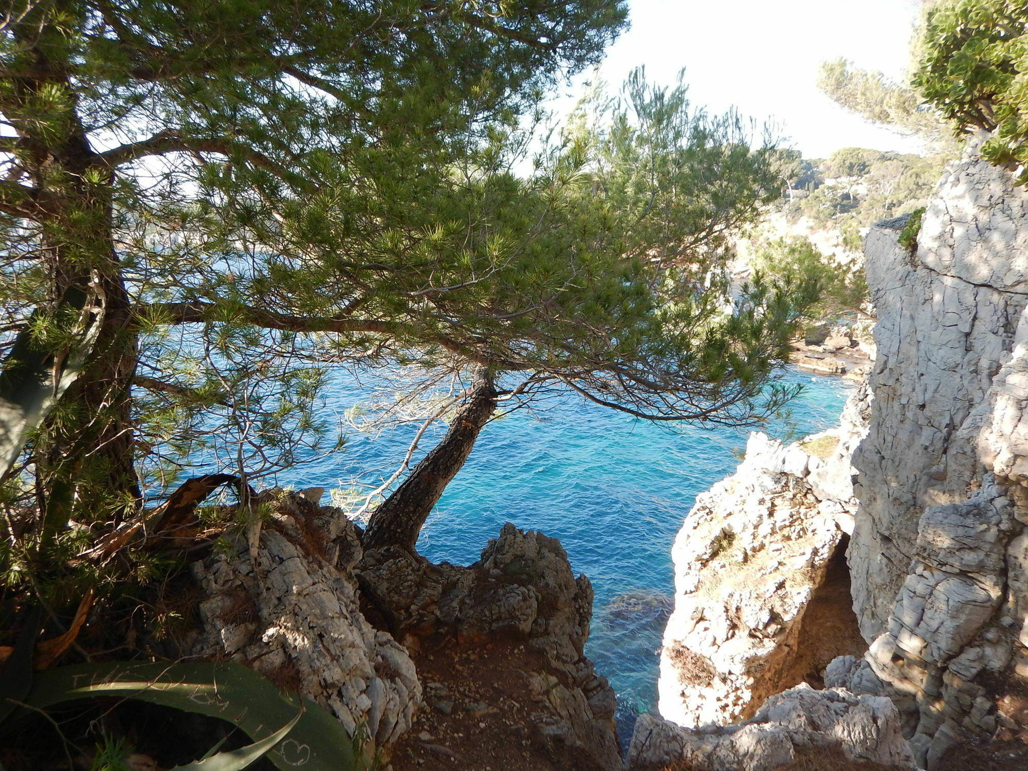 Hotel Miramar- Cap D'Antibes - La Garoupe Plage Εξωτερικό φωτογραφία